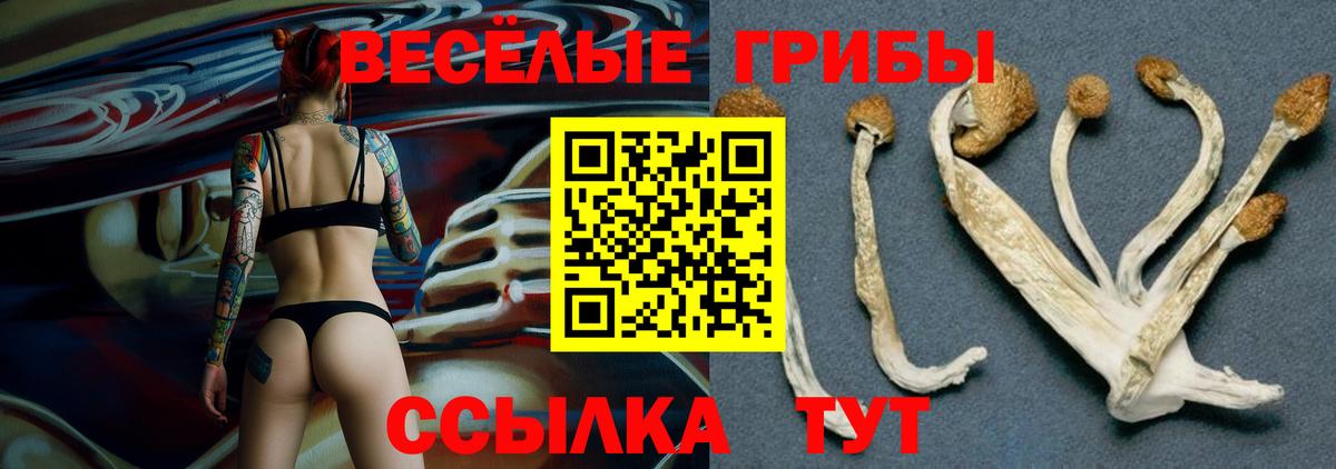 Псилоцибиновые грибы GOLDEN TEACHER  Вход с VPN  купить  сайты  Тула 