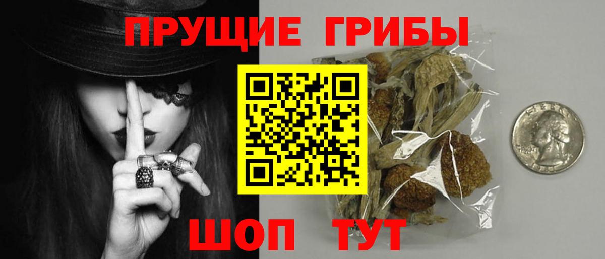 Псилоцибиновые грибы Magic Shrooms Тула